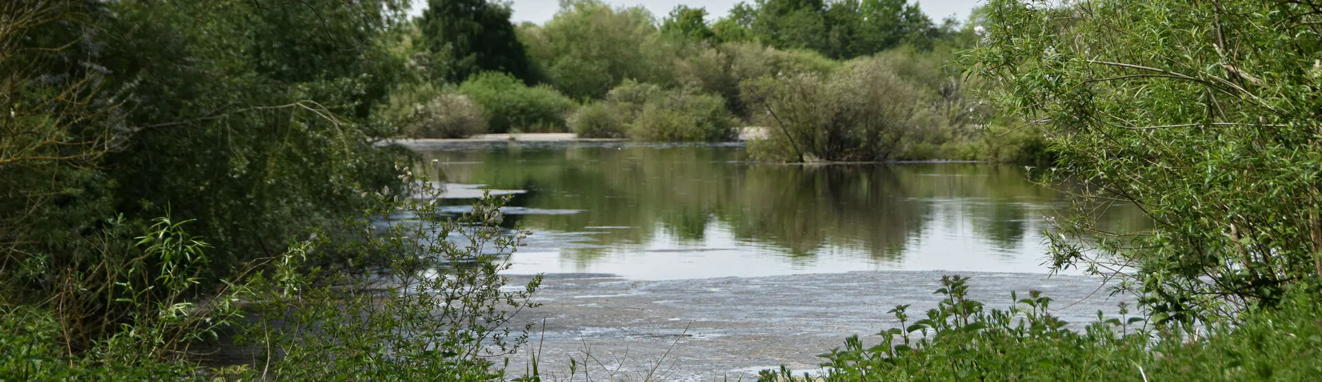 Photography and Wildlife Walk